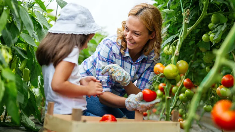 4 Steps to Starting a Hobby Farm and Advice You’ll Be Glad to Have